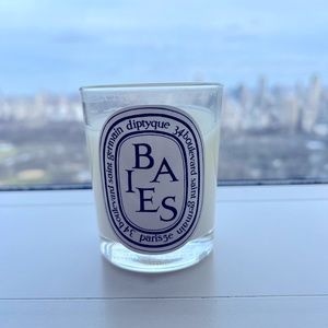Diptyque Baies Candle
